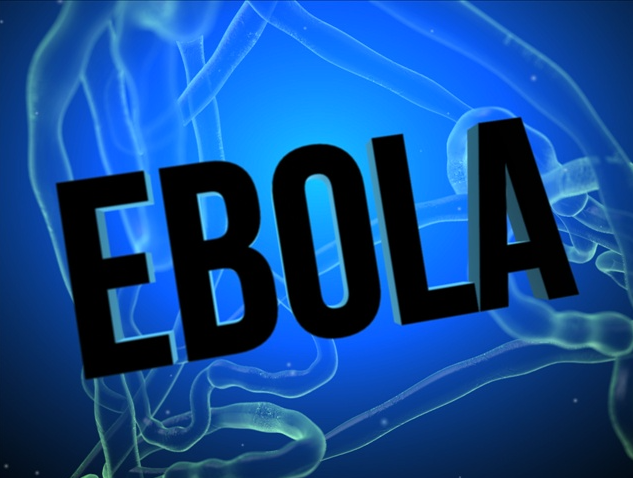 What You Need To Know About Ebola